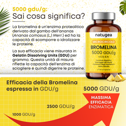 Bromelina forte 5000 GDU/g reali