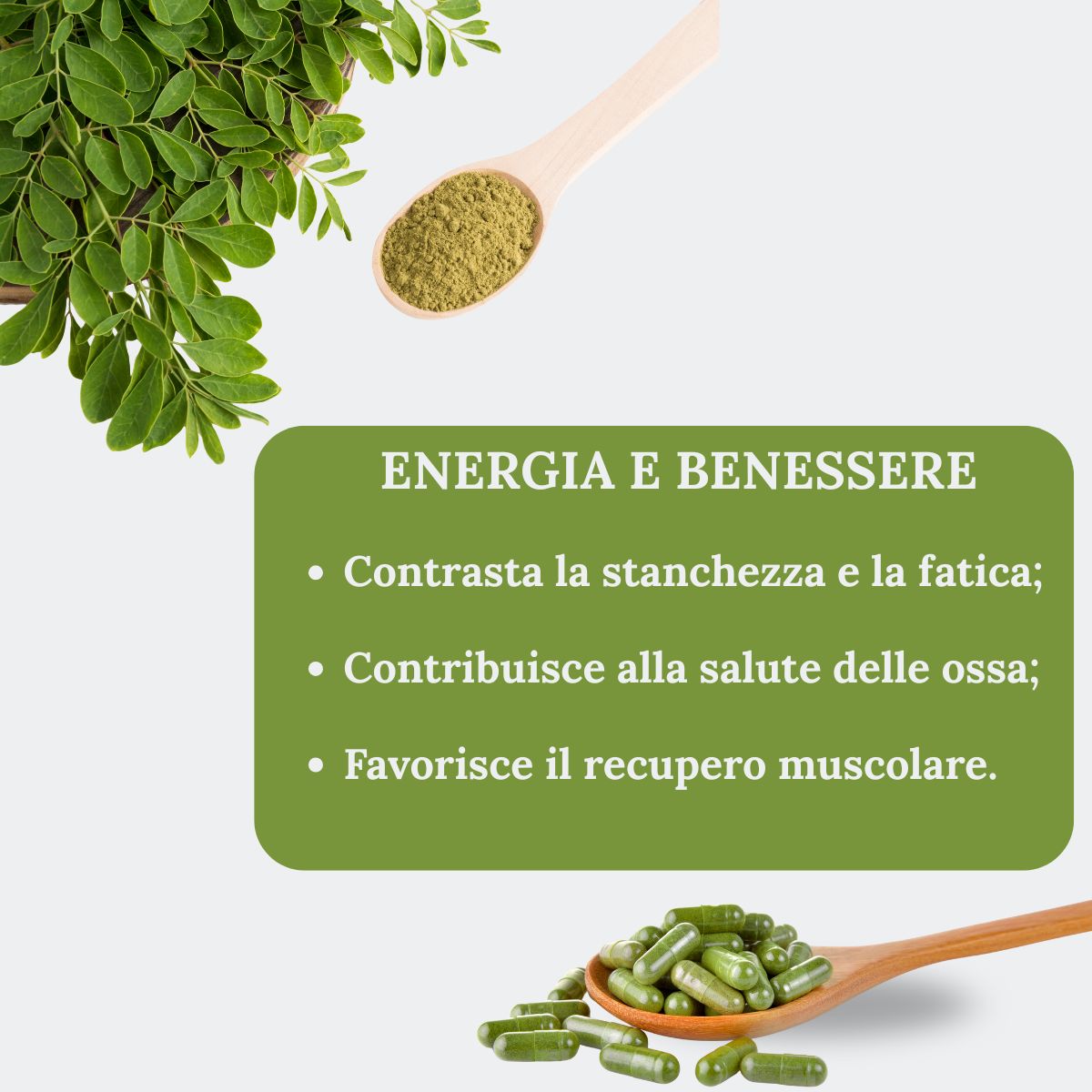 Moringa Oleifera Bio in Capsule | 50 Capsule