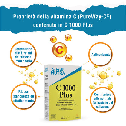C 1000 Plus