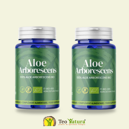 Aloe Arborescens in Capsule | 50 Capsule