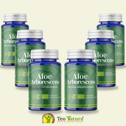 Aloe Arborescens in Capsule | 50 Capsule