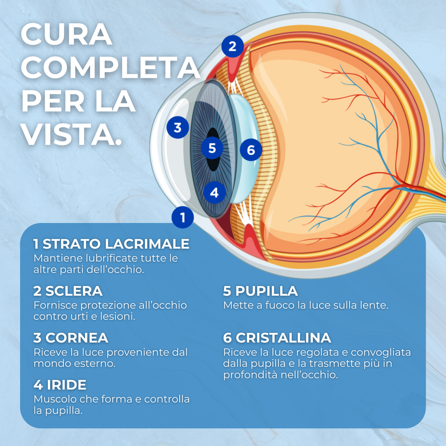 VisionUp Luteina e Zeaxantina